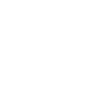 hubspot-provider-badge-white